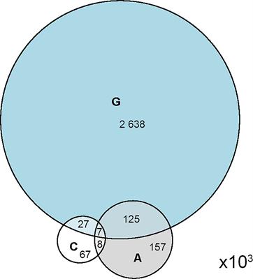 Restriction of the Global IgM Repertoire in Antiphospholipid Syndrome